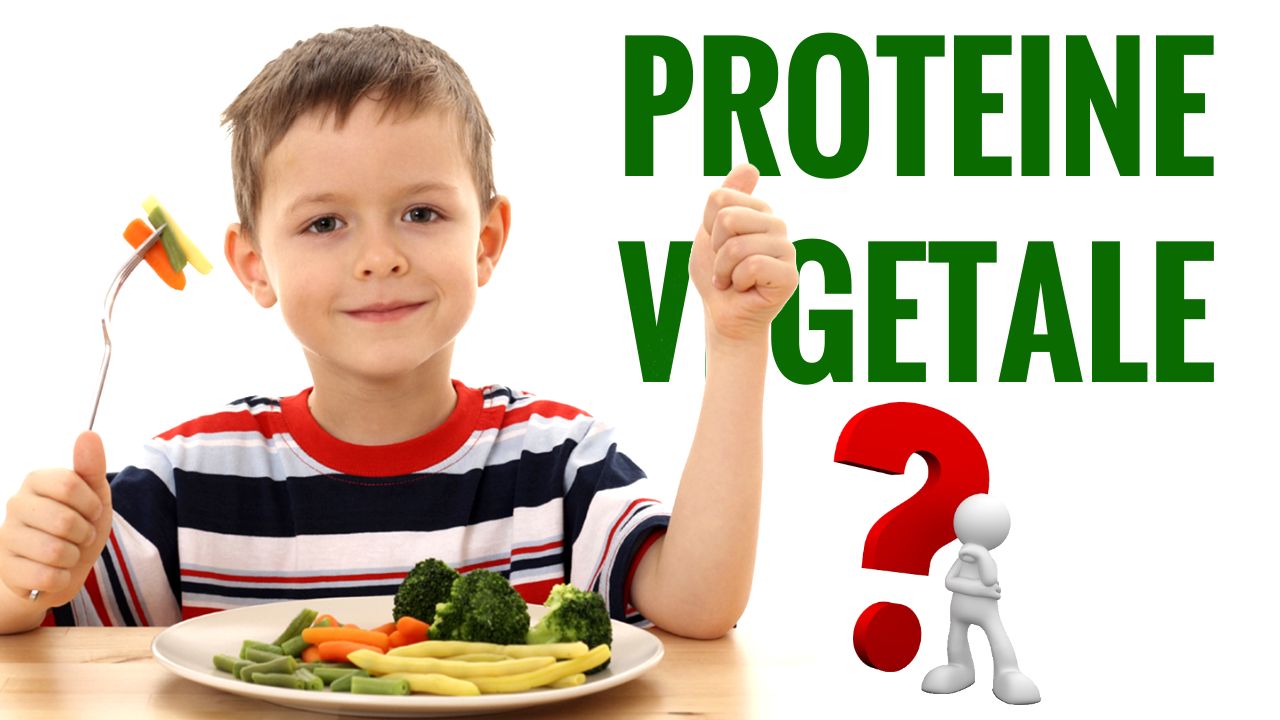 Proteinele vegetale în alimentaţia copiilor