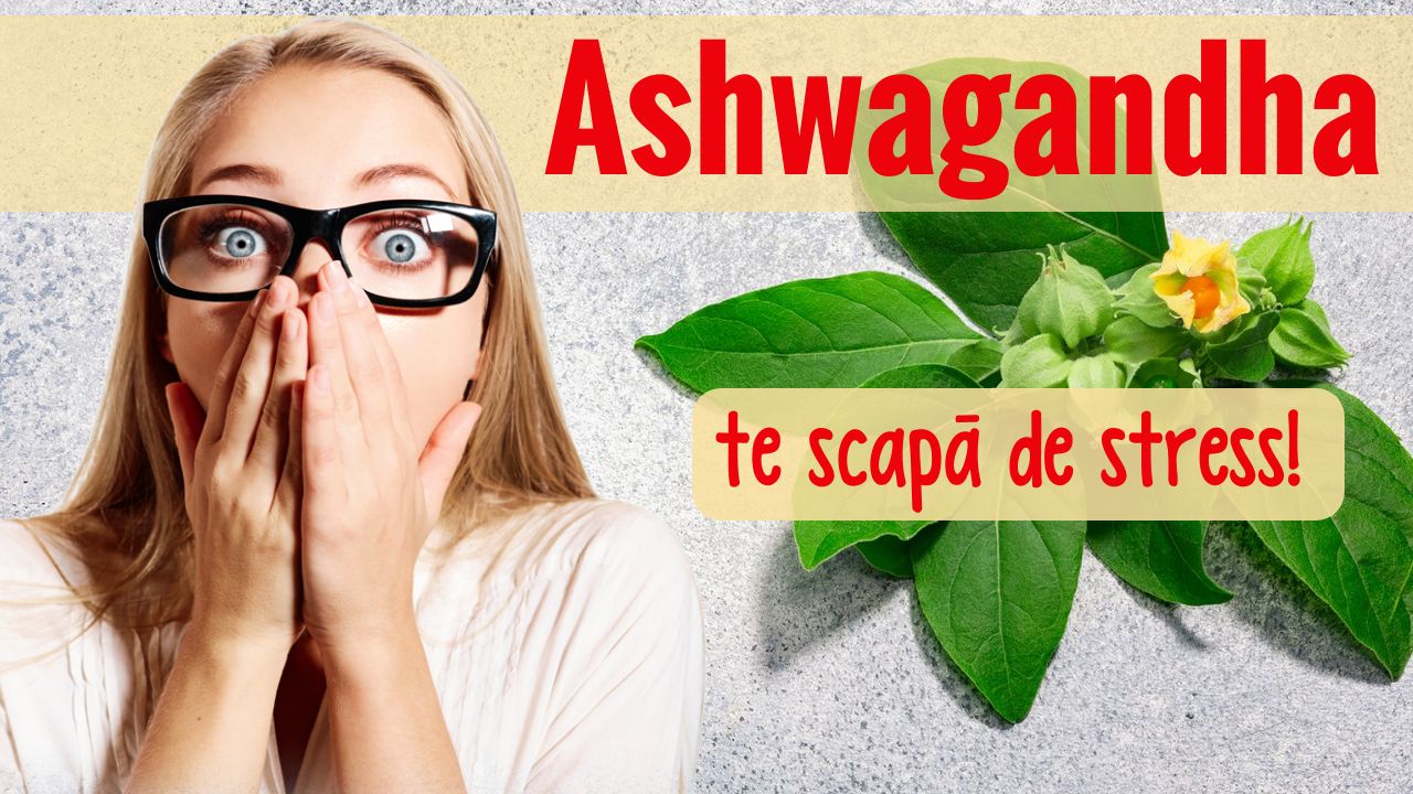 Ashwagandha, planta-minune care te scapă de stress
